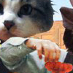 yougotHAWKBIT's profile picture. 