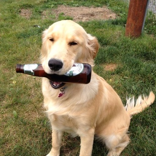 nan_cmac's profile picture. 