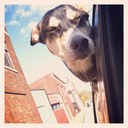 Erin Pace - @foleyloaded1 - Twitter