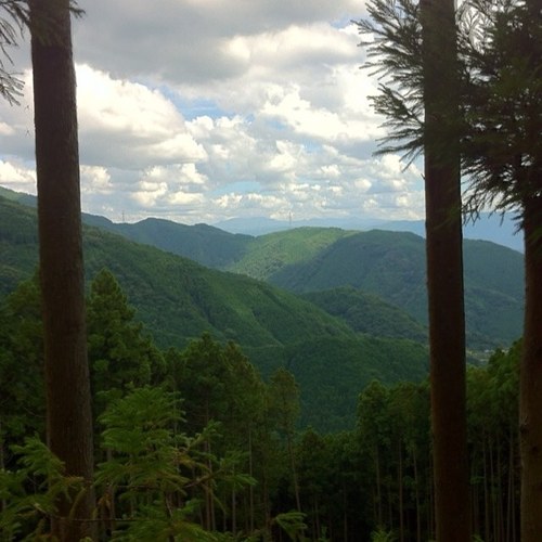 Aripoooon's profile picture. シングル 30代 👶2021.08.07 同じ境遇の方仲良くして下さい★ 関西の方大歓迎！！ セール、お得情報大好き