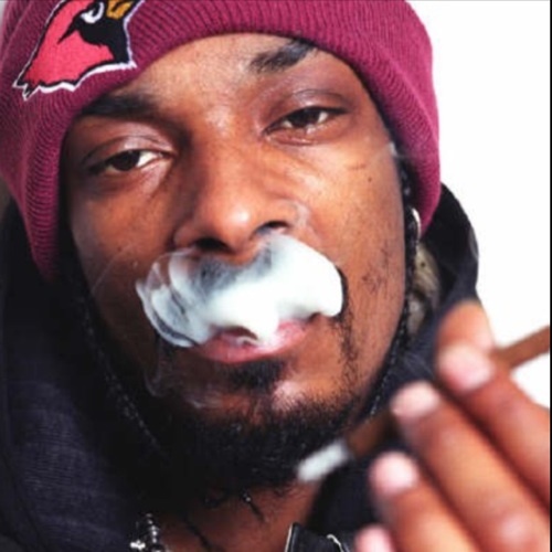 GanjaDaily's profile picture. 