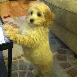 egittles's profile picture. 