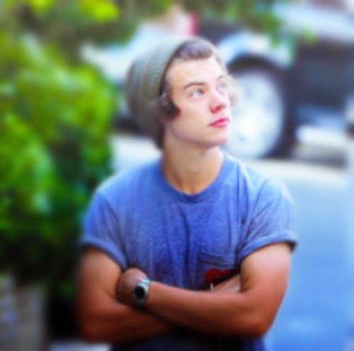 I LOVE YOU ONE DİRECTİON:)x I LOVE YOU HARRY STYLES,I LOVE NİALL HORAN,I LOVE YOU ZAYN MALİK,I LOVE YOU LOUİS TOMLİNSON,I LOVE YOU LİAM PAYNE :)) FOLLOW ME