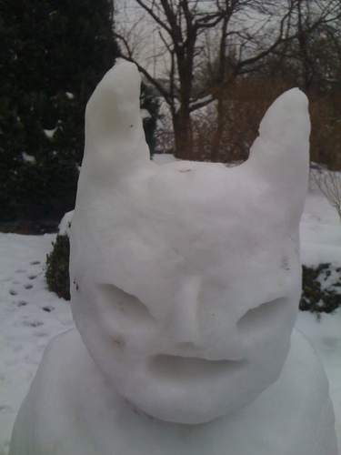 Bertiles1's profile picture. Magic, Cyberpunk 2077, Lesen,  Piano, FPV Quad`s.....