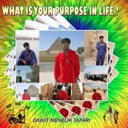 MelodyMuzikSPDS's profile picture. DAWIT MENELIK TAFARI 
The World citizen – Son of Rastafari
