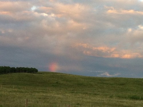 RileyWiebe55's profile picture. 