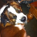 justin ayers - @jayers3 - Twitter