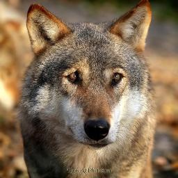 Anikenk4534's profile picture. 5 лет уже как играю на гитаре,люблю заниматься спортом ,вообщем весёлый и общительный парень))