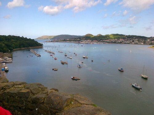 James_openpath's profile picture. Twitter feed for The Open Path Blog