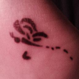 Introvert, androgynous, bisexual. Depressed, eating disorder, self harm. Done with life.