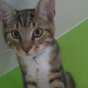 Lisa Thomé - @LisaThome90 - Twitter