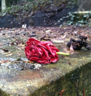 OurFilmProject's profile picture. We are a group of friends that have a dream to make a film. We do bake sales for fundraising but we want to get known, please follow, we'll follow back!