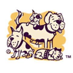 LoosePooch's profile picture. Loose Pooch Dog Club is a dog daycare facility, dedicated to the happiness and safety of your beloved companion.