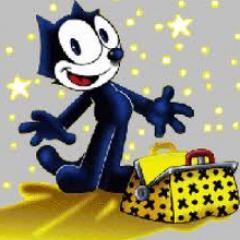 pedrotoledo1234's profile picture. 