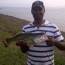 Andrew Reddy - @ReddyAndrew - Twitter