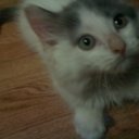 lori danis - @lorid1968 - Twitter