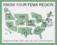 Fema01News's profile picture. 