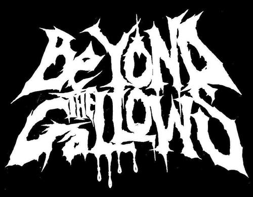 Formed in early 2011, Beyond The Gallows strive to bring heavy, melodic death metal to South Carolina.