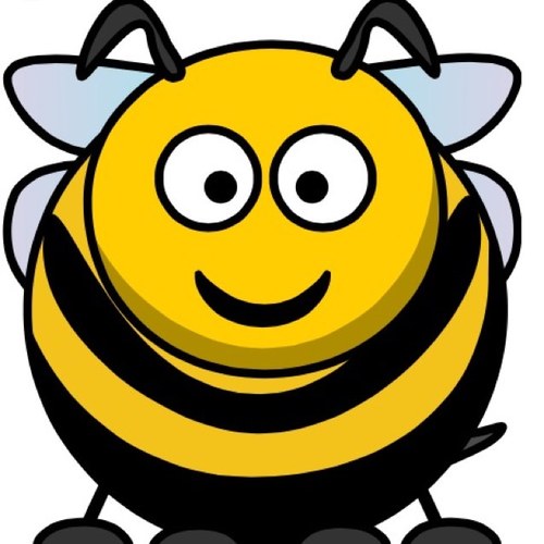 Hi I'm the Business Bee. I specialise in helping Business Studies students & teachers with resources, whilst also helping anyone who is stuck.