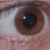 Tom Denny (@tomdenny) Twitter profile photo Tom Denny (@tomdenny) Twitter profile photo