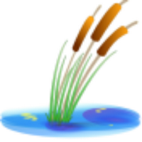 North Cave Wetlands (@northcavewet) 's Twitter Profile