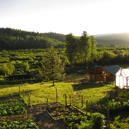 All about growing, cooking, preserving and enjoying the food we grow. We grow, sell & ship naturally grown Garlic across Canada!