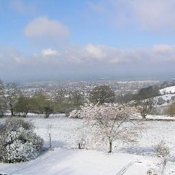 AWB63's profile picture. Husband to Bern and Dad to Harry & Lucy. UTV!