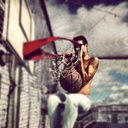 alessandro graziuso (@alexpz96) Twitter