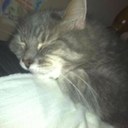 Aly Sanders - @AlyAlythecat - Twitter