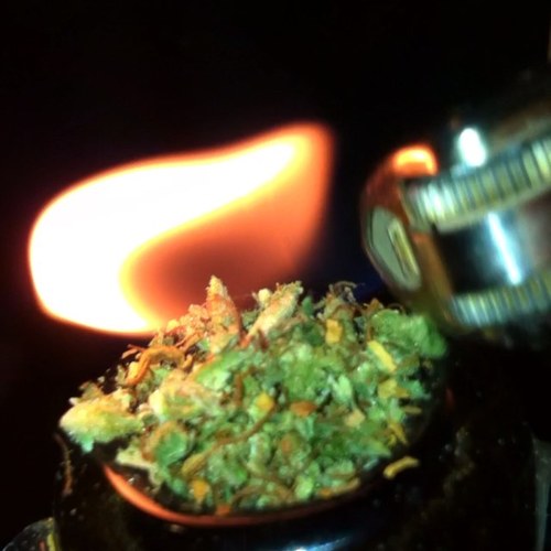 jeeraannt's profile picture. 