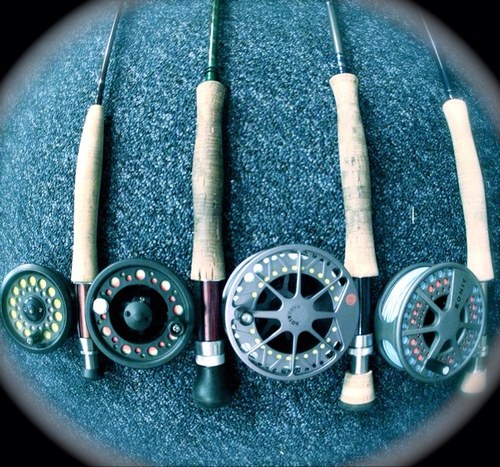 theFunkyspartan's profile picture. 