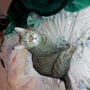 serena payne - @safetybabe - Twitter