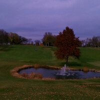 sam chamberlain (@sammydavis111) 's Twitter Profile