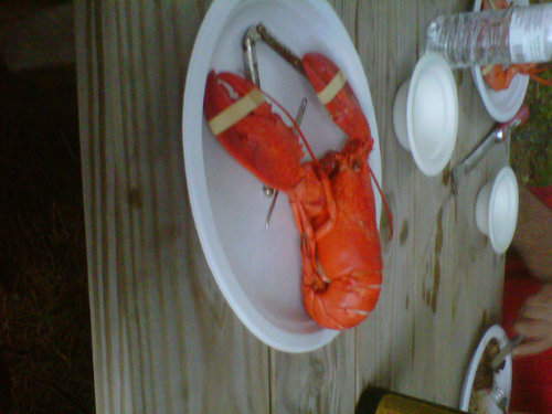 scootah1's profile picture. 