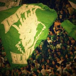 MEU CORITIBA ALMA GUERREIRA TE SEGUIREI A VIDA INTEIRA!