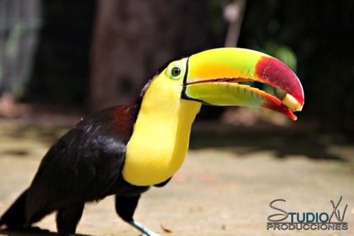 asantia963's profile picture. http://t.co/YeoMkIfzf1