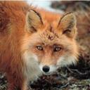 Alberto Deleon - @fmarion7ad - Twitter