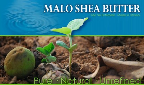 YaaNe Enterprise is a distribution company that imports 100% all natural Shea Butter from the Upper West Region of Ghana/supporting economical aid.