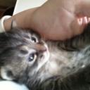 cindy stevens - @cindystevens20 - Twitter