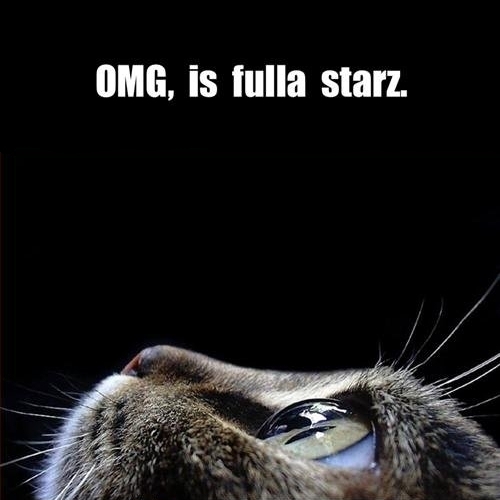 evilhappy's profile picture. just your average geek