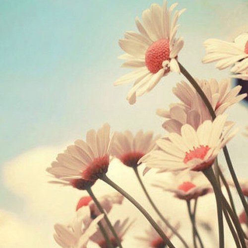 thetour75's profile picture. but they who wait for the LORD shall renew their strength; they shall mount up with wings like eagles; they shall run and not be weary; -- Isaiah 40:31