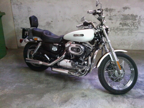 davidastorch's profile picture. 