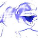 Sandra Tiller - @SandraTiller1 - Twitter