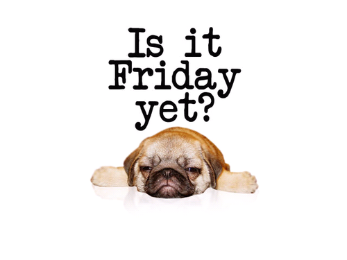 Virgintonik's profile picture. Habitante del Mundo...Todos los dias..xD