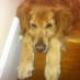 Neal Wilson (@nealrwilson) Twitter profile photo