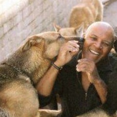 Brandon is LA's miracle worker.  He knows how dogs think & can determine the proper treatment for your dog's aggression. Media Inquiries: jenni@jennidawn.com