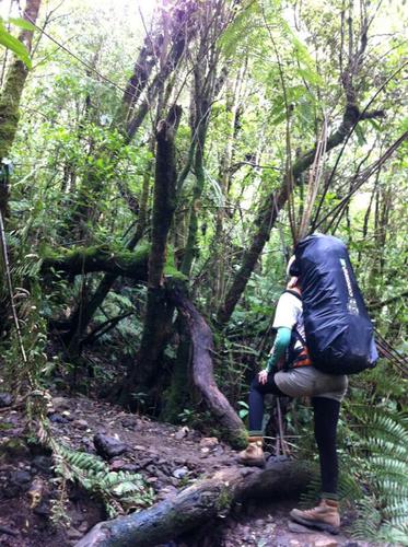 Hiking || rivers || caving || beach || backpacking || travelling || cooking || rain