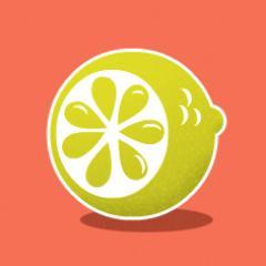 Web Designer IHM et plus globalement designer graphique.