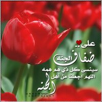  بدر ال الشيخ  (@badermohammed_1) 's Twitter Profile