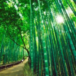 turistamak's profile picture. Músico por esencia, melómana por consecuencia.